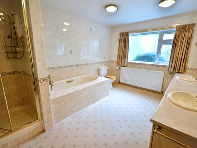 Picture 10